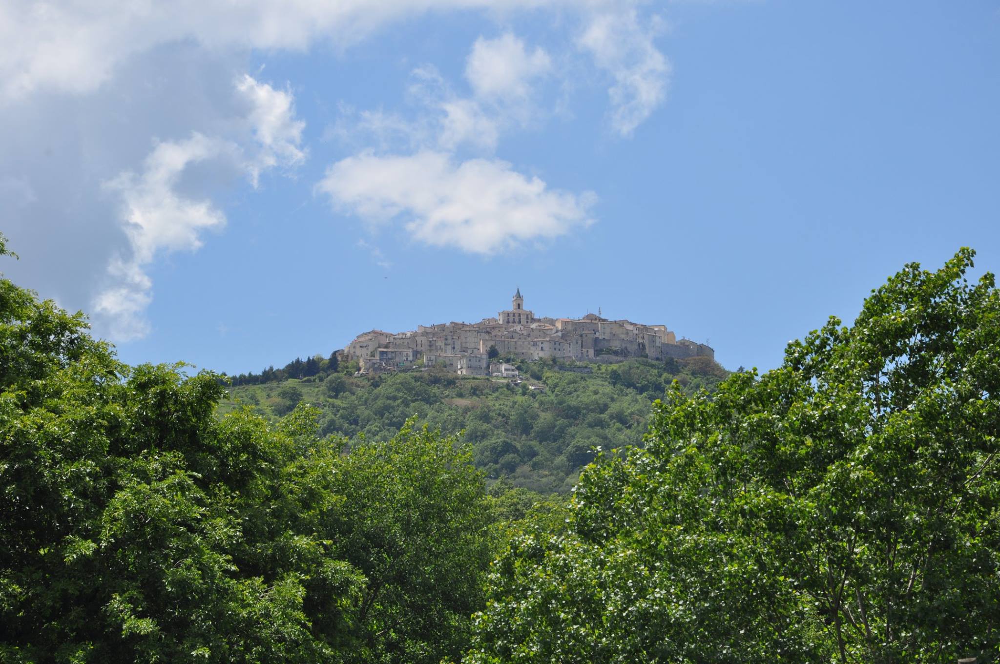 Agresti pic5